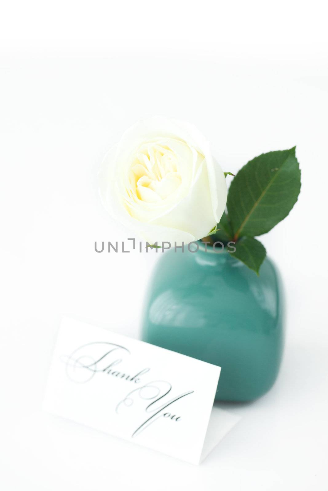 beautiful white rose in a vase and card with the words thank you