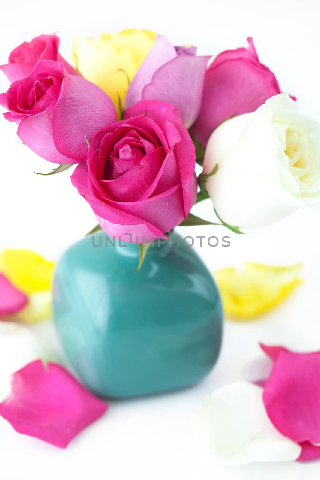 bouquet of colorful roses in vase and petals 