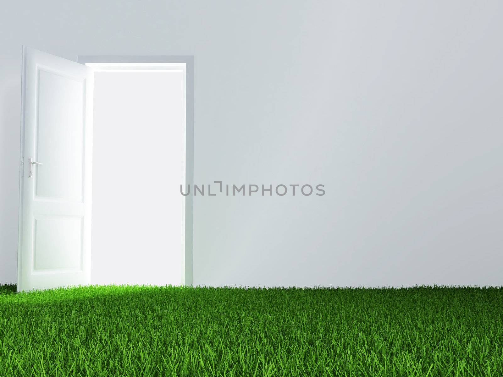 white wall, unclosed door and juicy green lawn