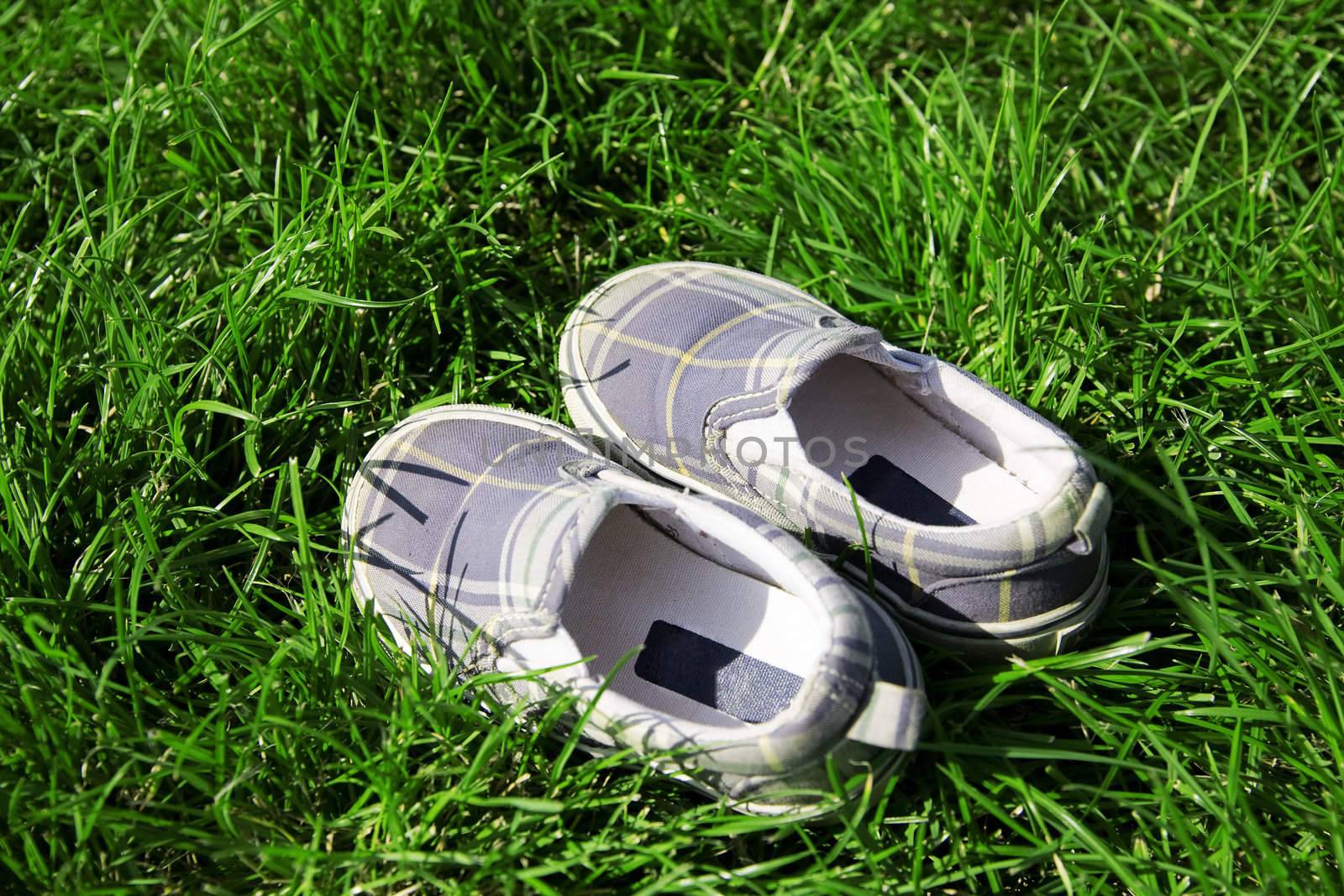 child's shoe for leisure in a green summer grass