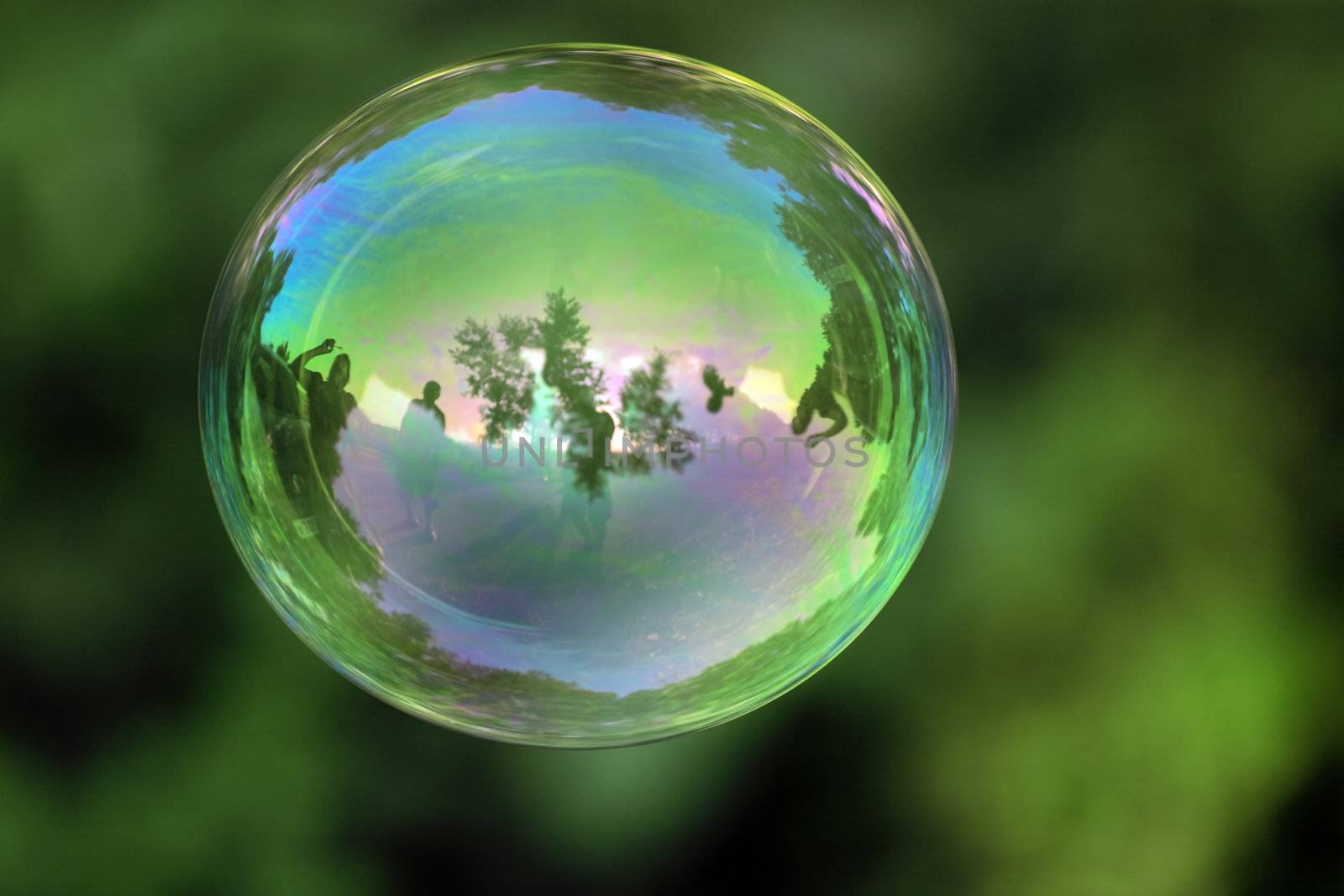 transparent bubble with reflections on a green organic background