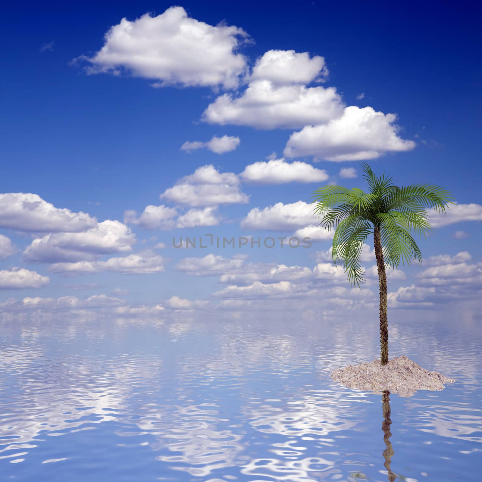 single palm on island with a beautiful sea and sky