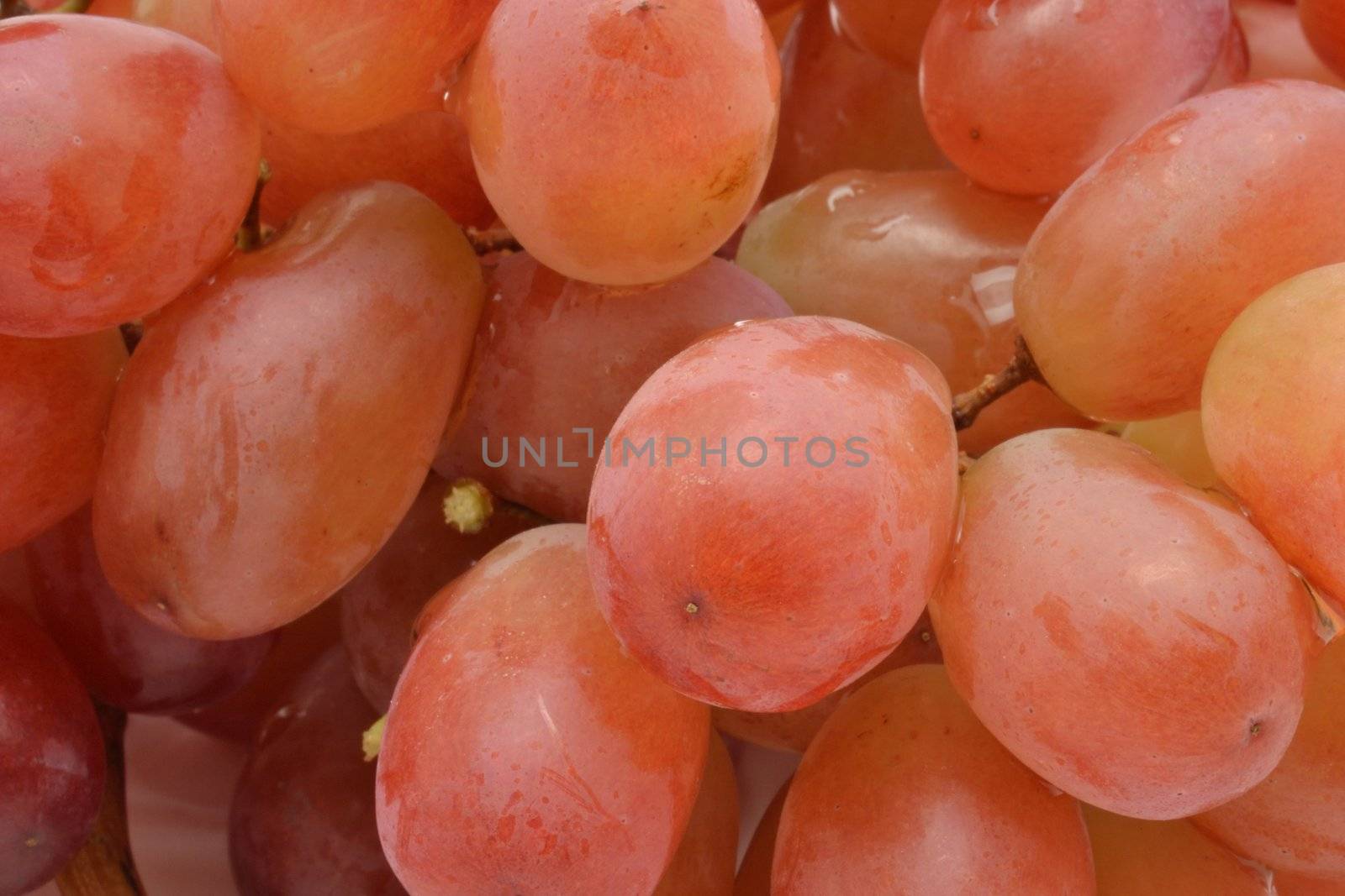 Red grape by Autre