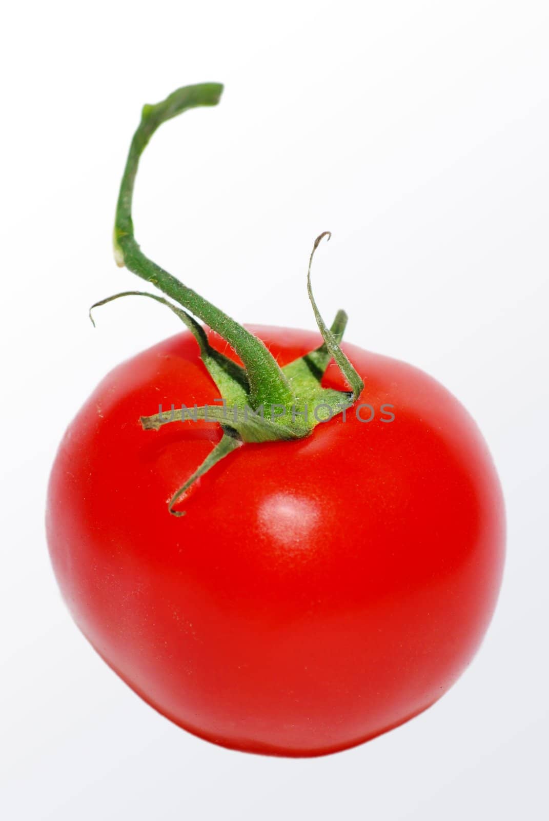 a detail picture of a tomato