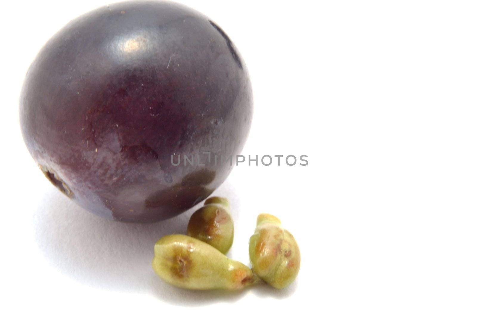 Single berry of  black grape with grape seeds over white background
