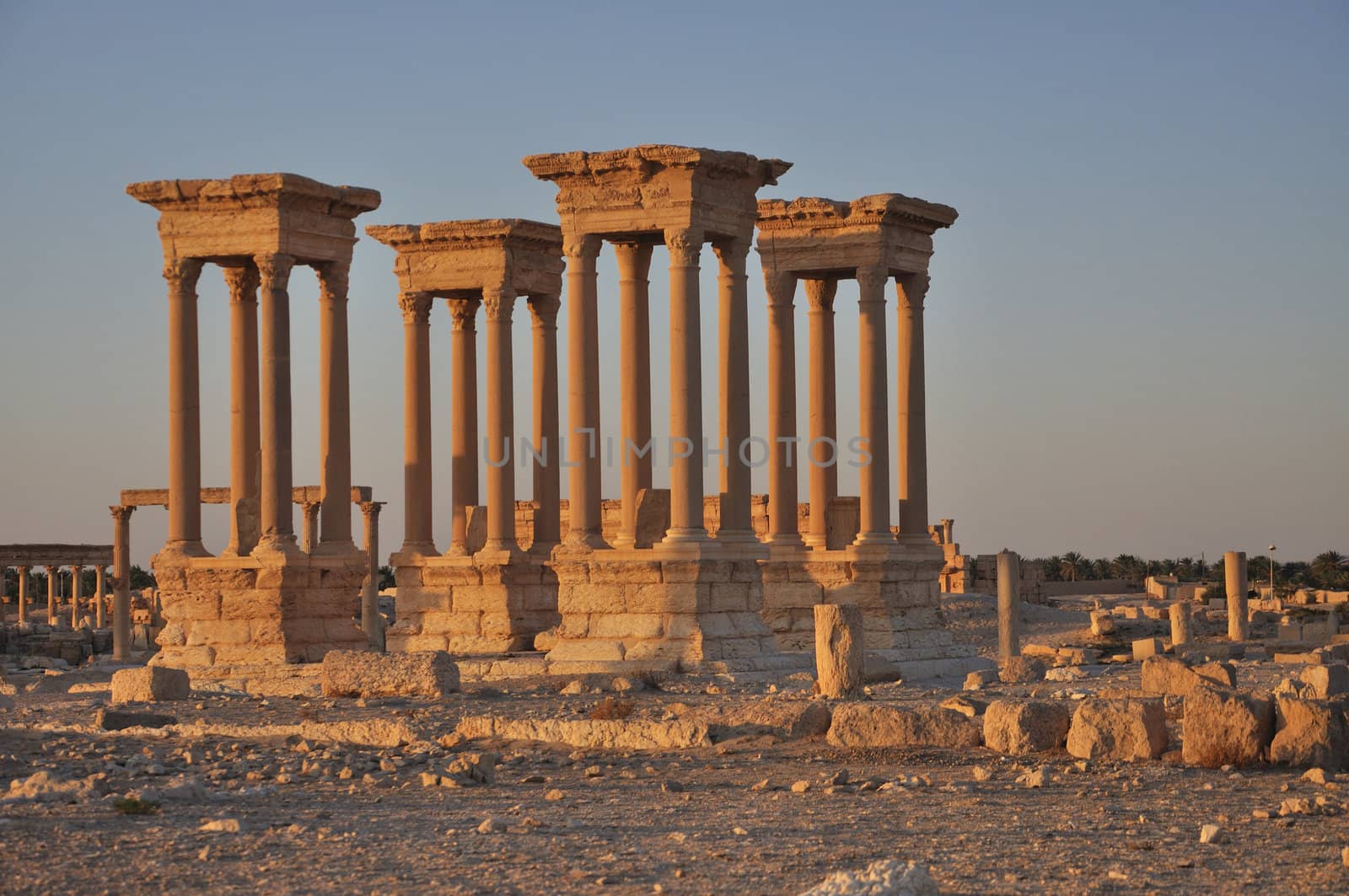 Four ancient columns - archaeological site, ruins, Palmyra, Syria (early morning)
