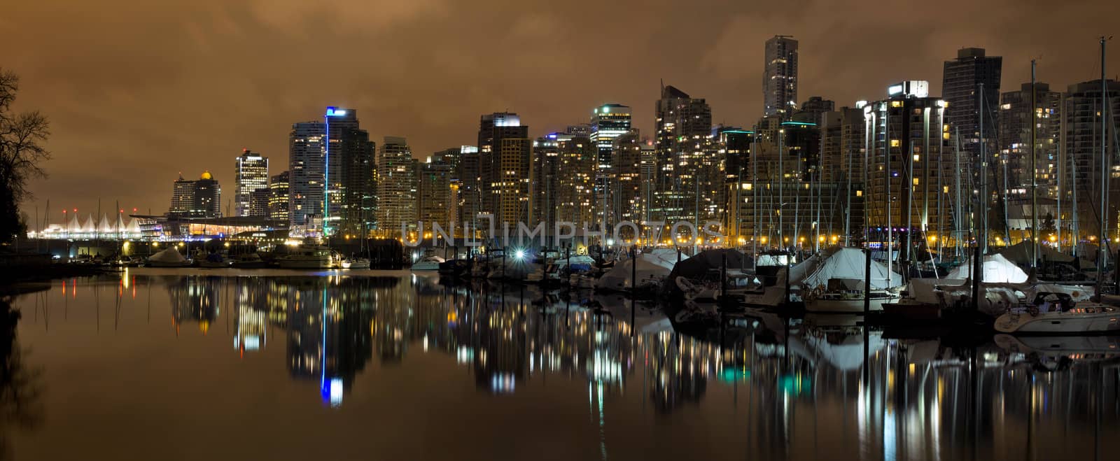Vancouver BC Skyline from Stanley Park at Nigh by jpldesigns