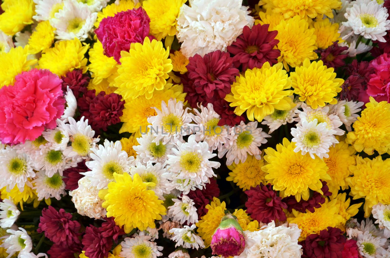 Fresh summer flower bouquet at  market