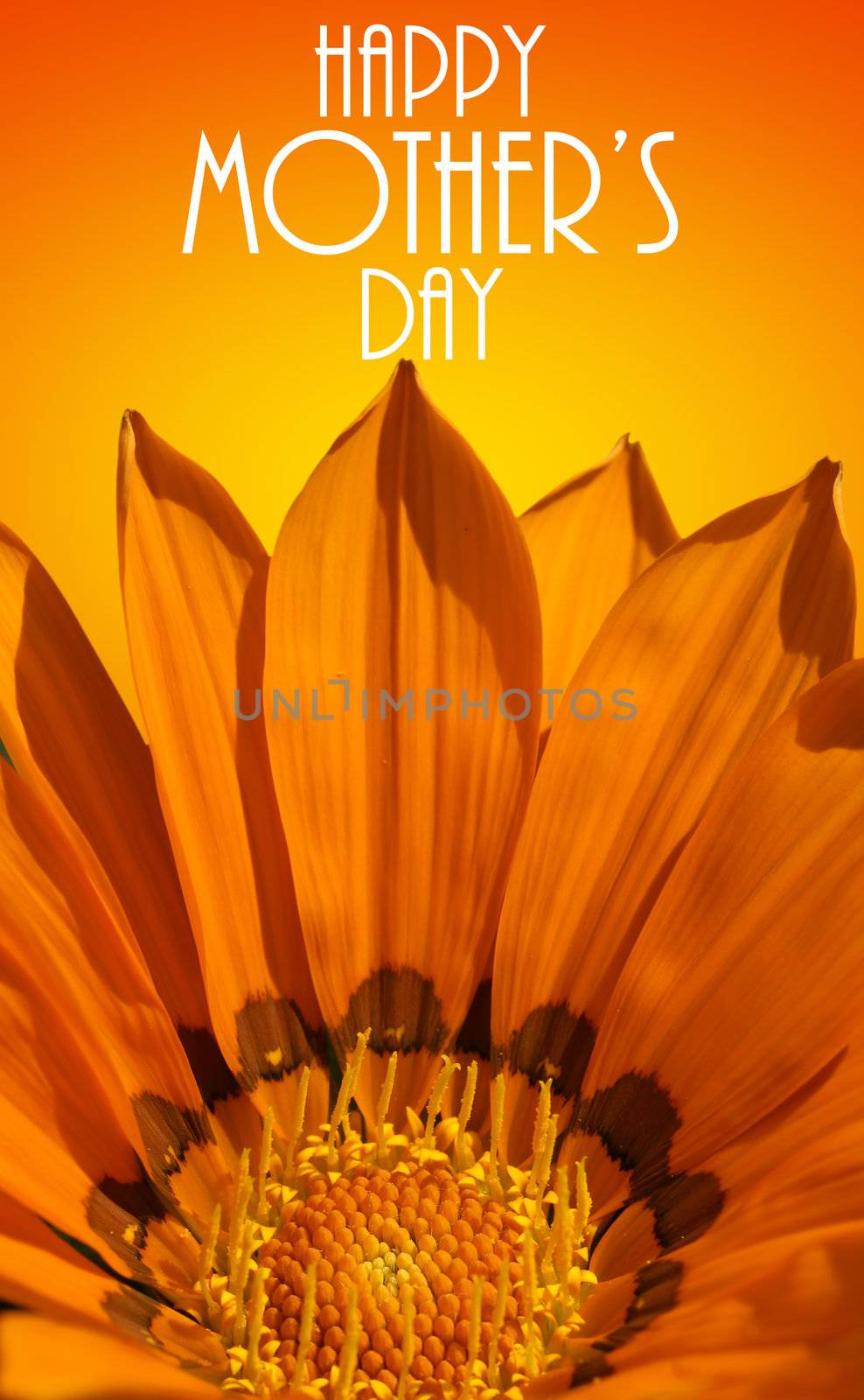 Happy mother's day card with bright orange flower as background