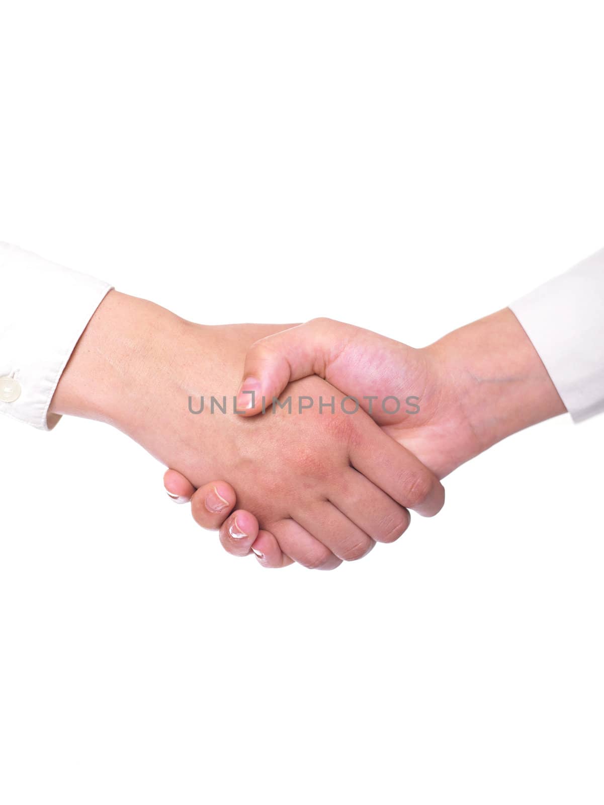 Handshaking - Team Work by adamr