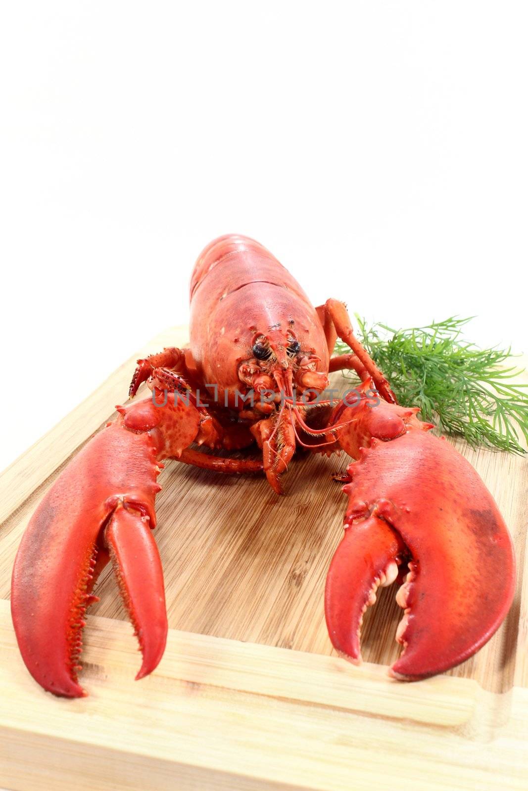 a lobster with dill on a wooden board