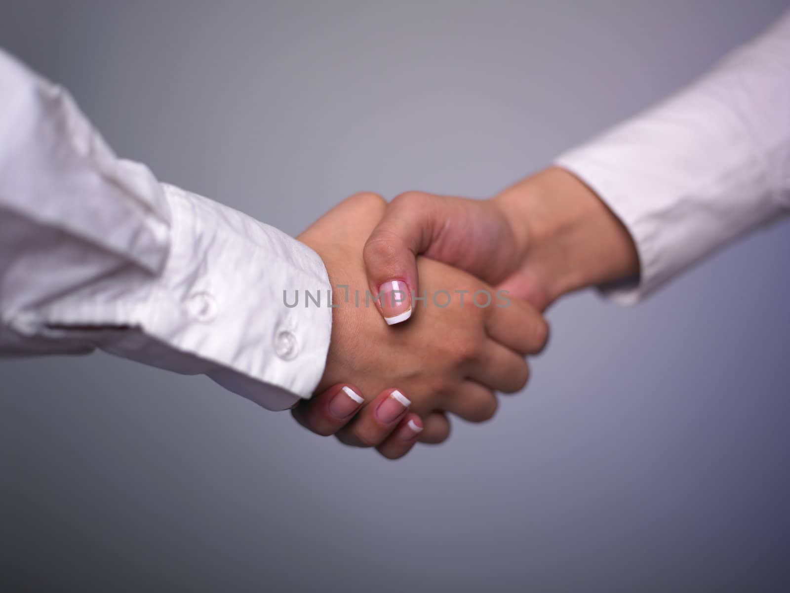 Handshake Handshaking isolate on white
