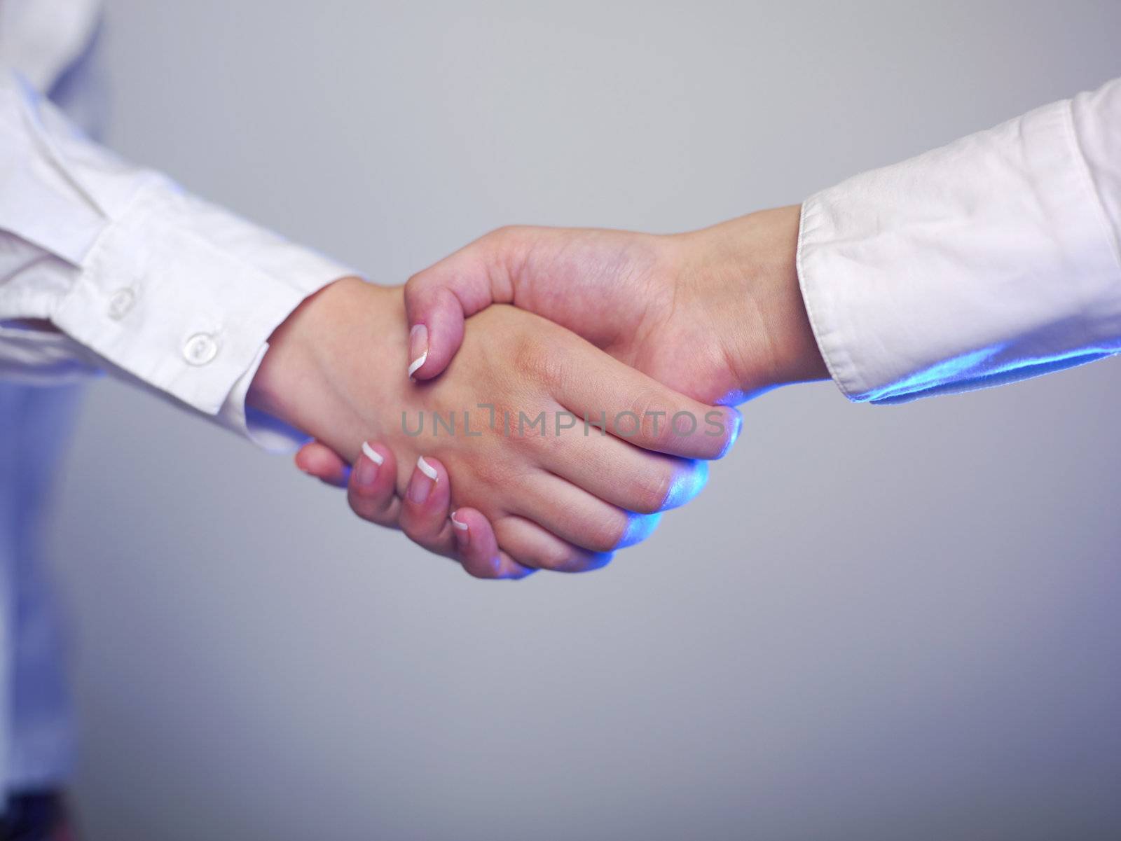 Handshake Handshaking isolate on white