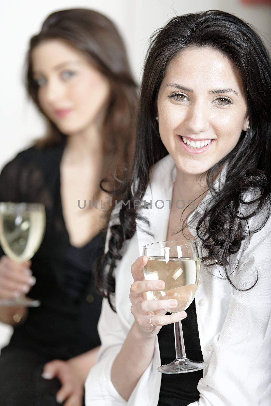 Two friends at a dinner party enjoying a glass of wine