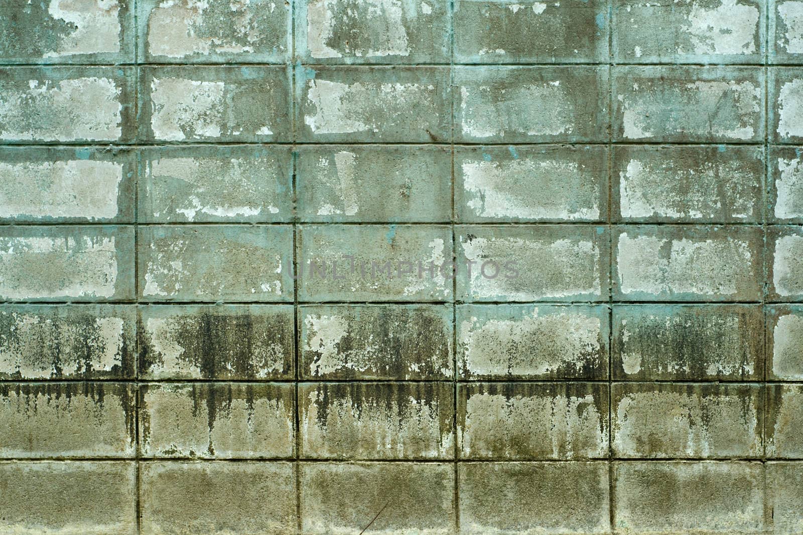 Texture of old green grunge block wall for background