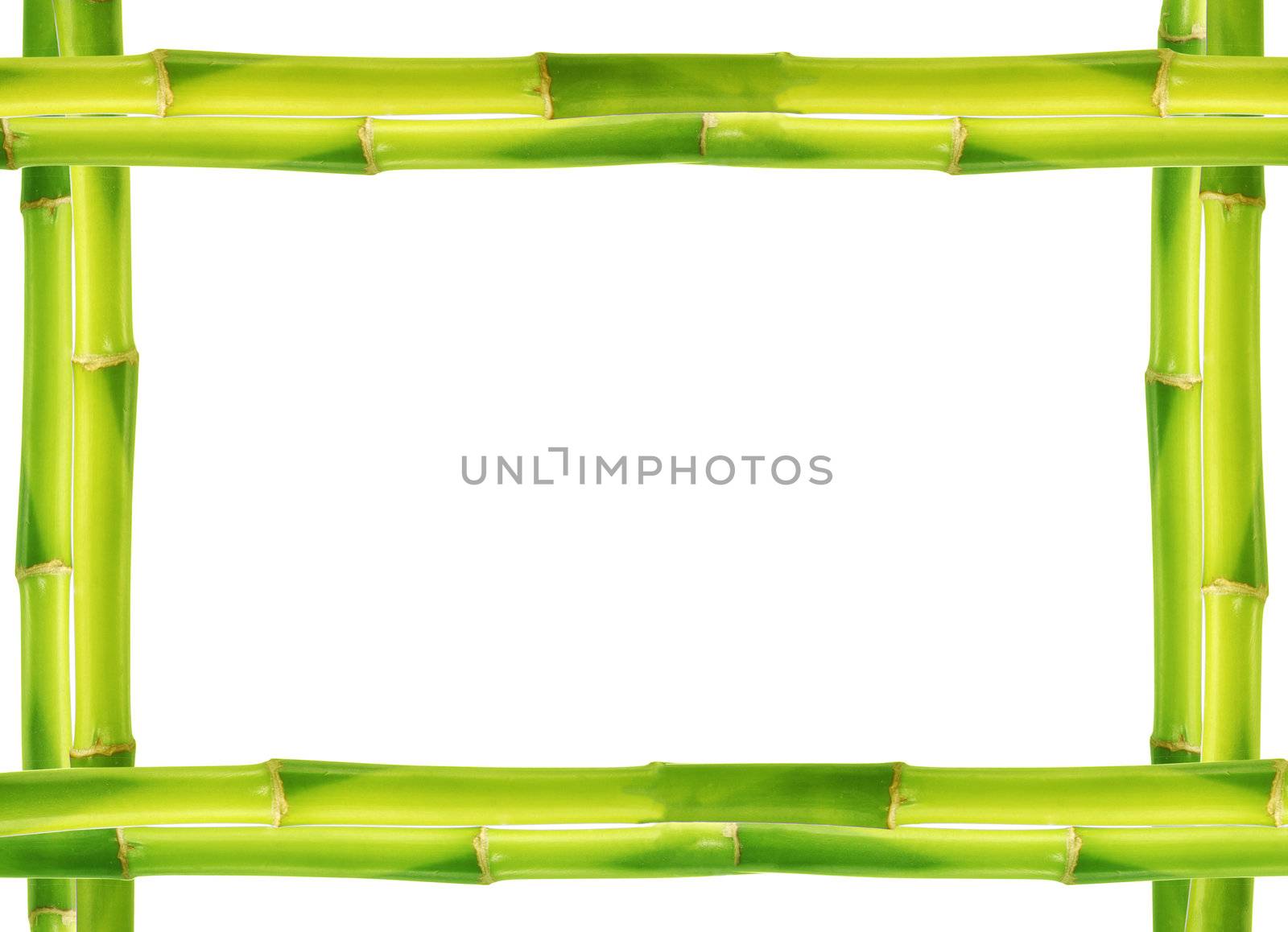 Bamboo frame made of stems