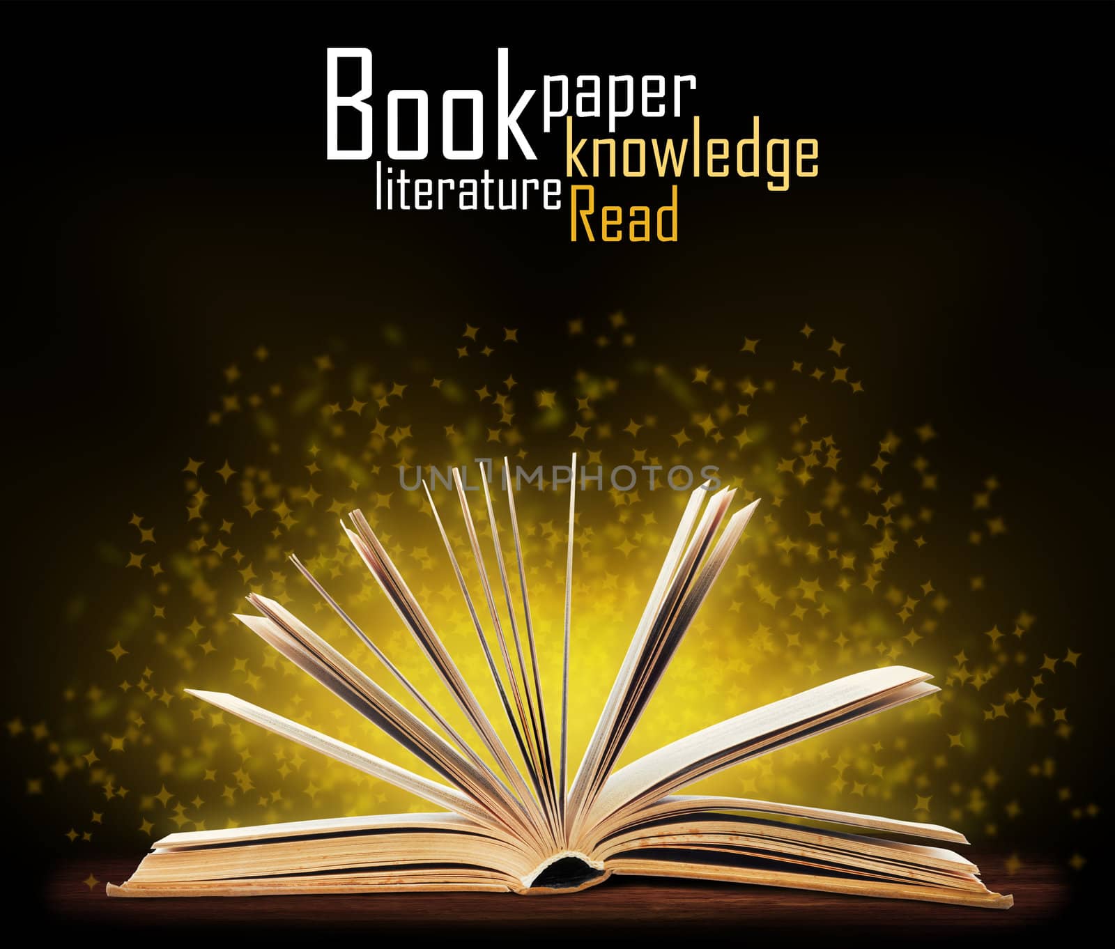 Book. Opened book with special light. Education