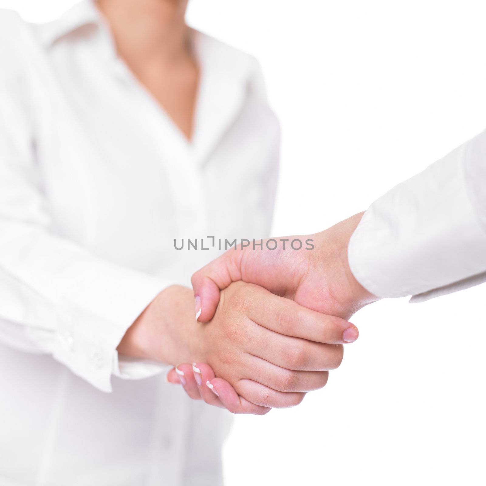 Handshake Handshaking by adamr