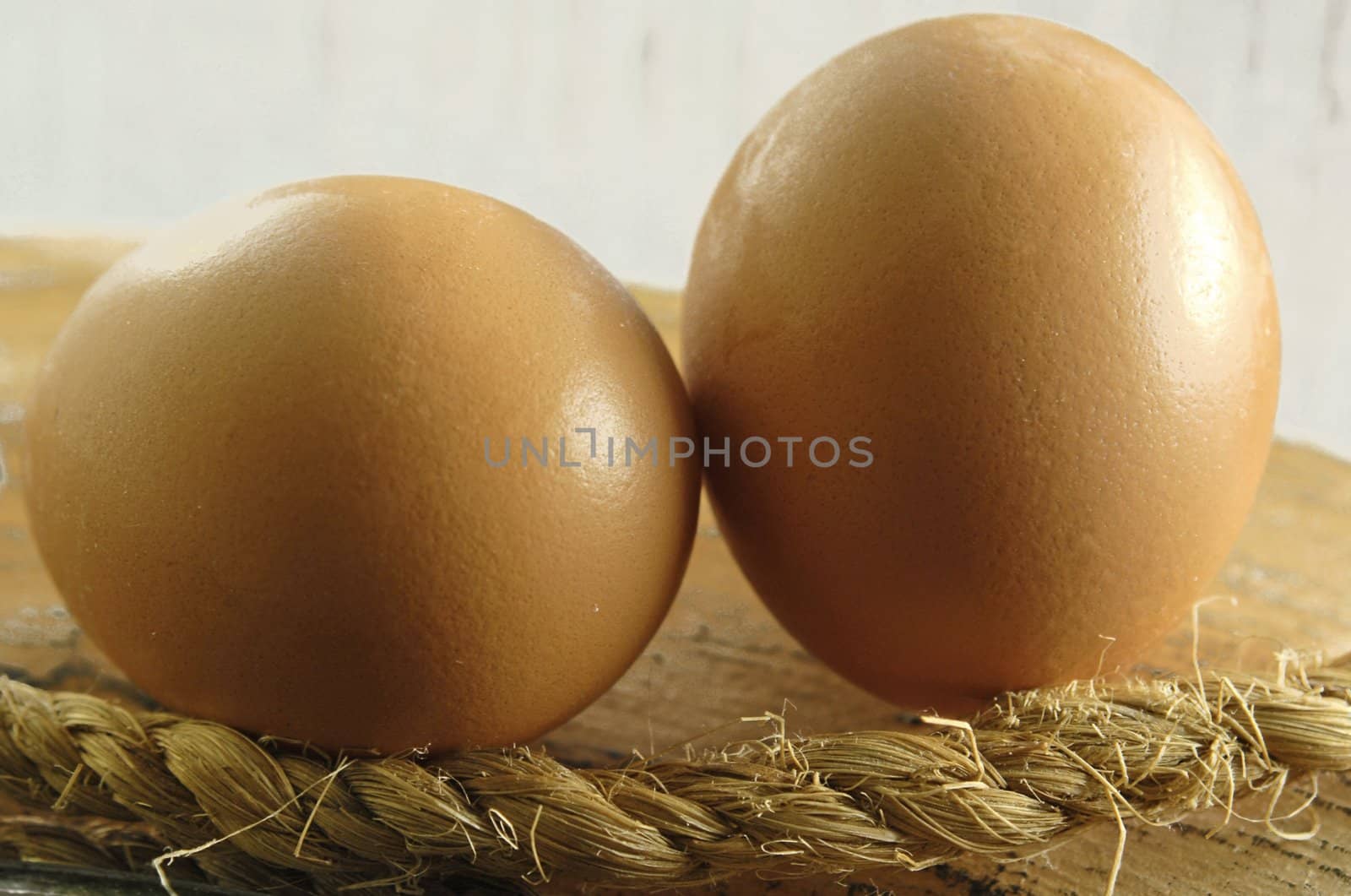 egg by severija