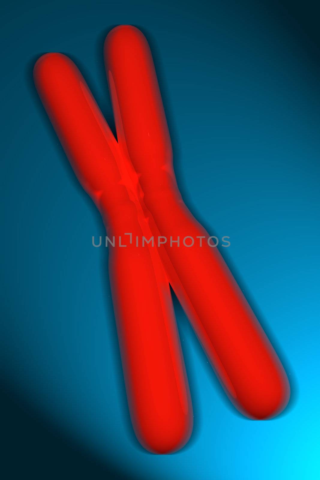 Human Chromosome illustration by Geoarts