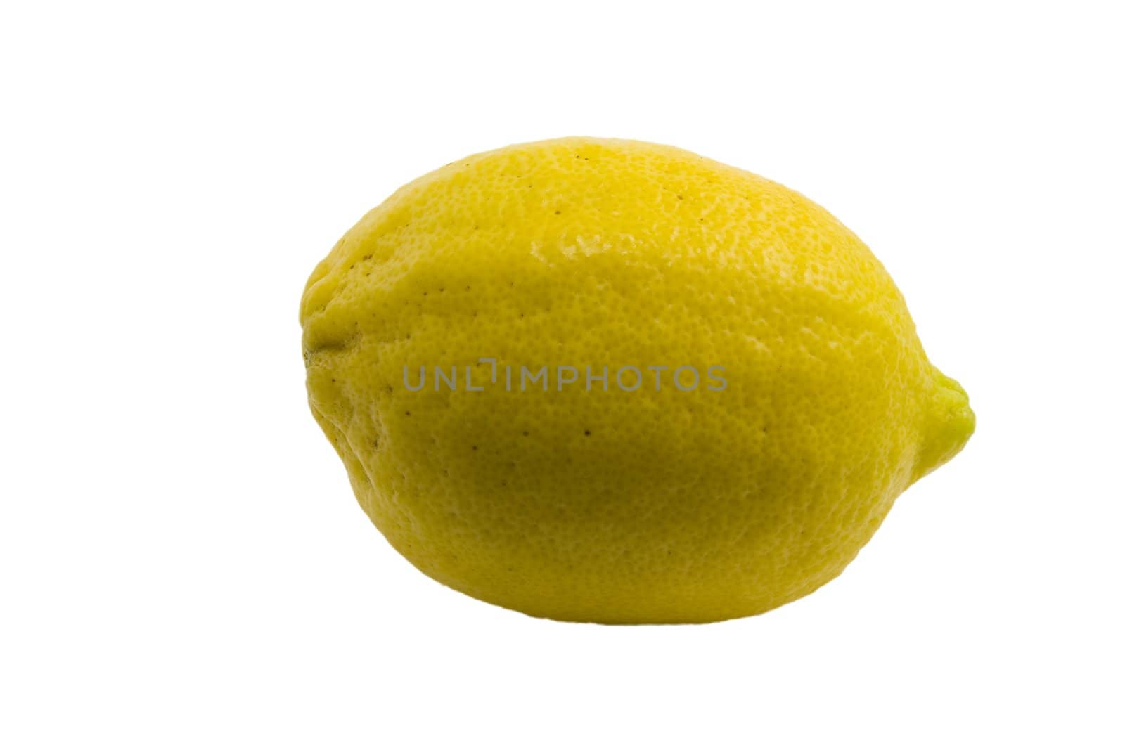 Lemon by Vladimir