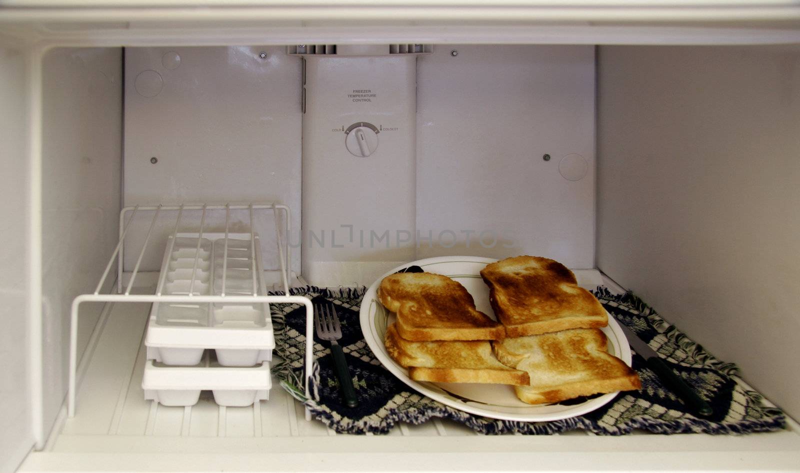 Toast In The Freezer by Imagecom