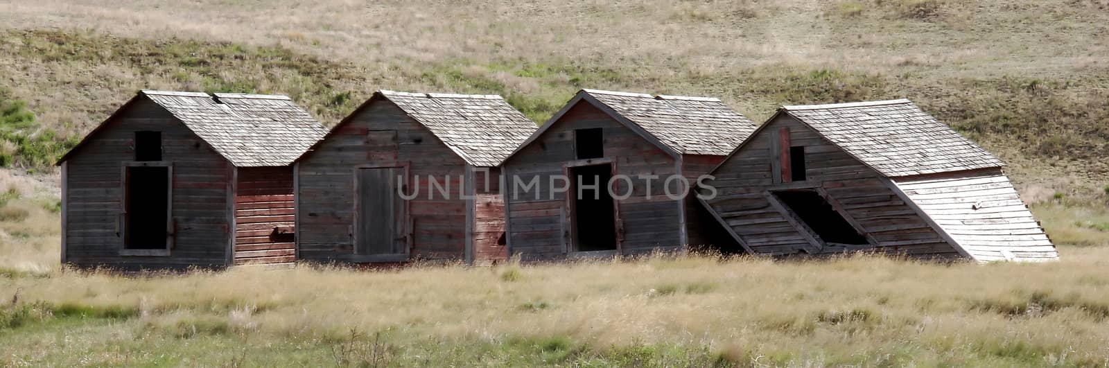 Four old barns in the field
