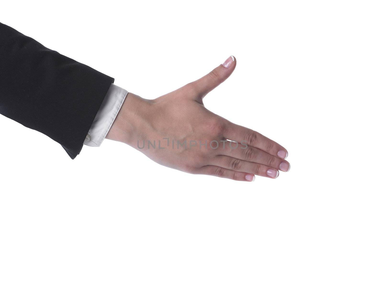 Womans Hand Ready For Handshaking