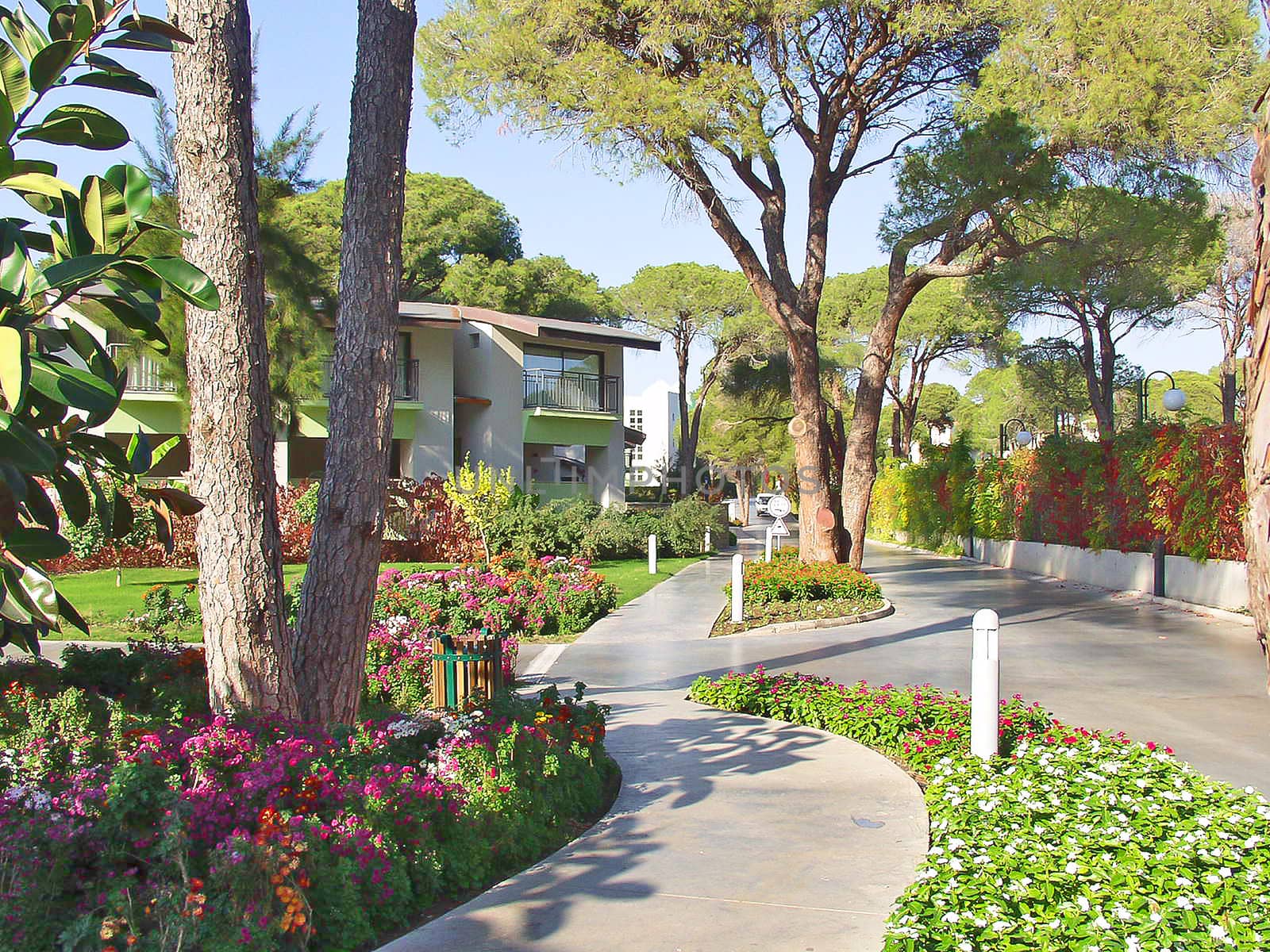 luxury hotel garden  by NickNick