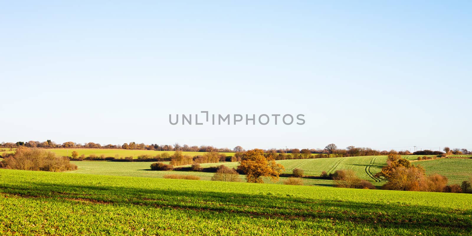 A voew of rolling farmland in Suffolk, UK with copyspace