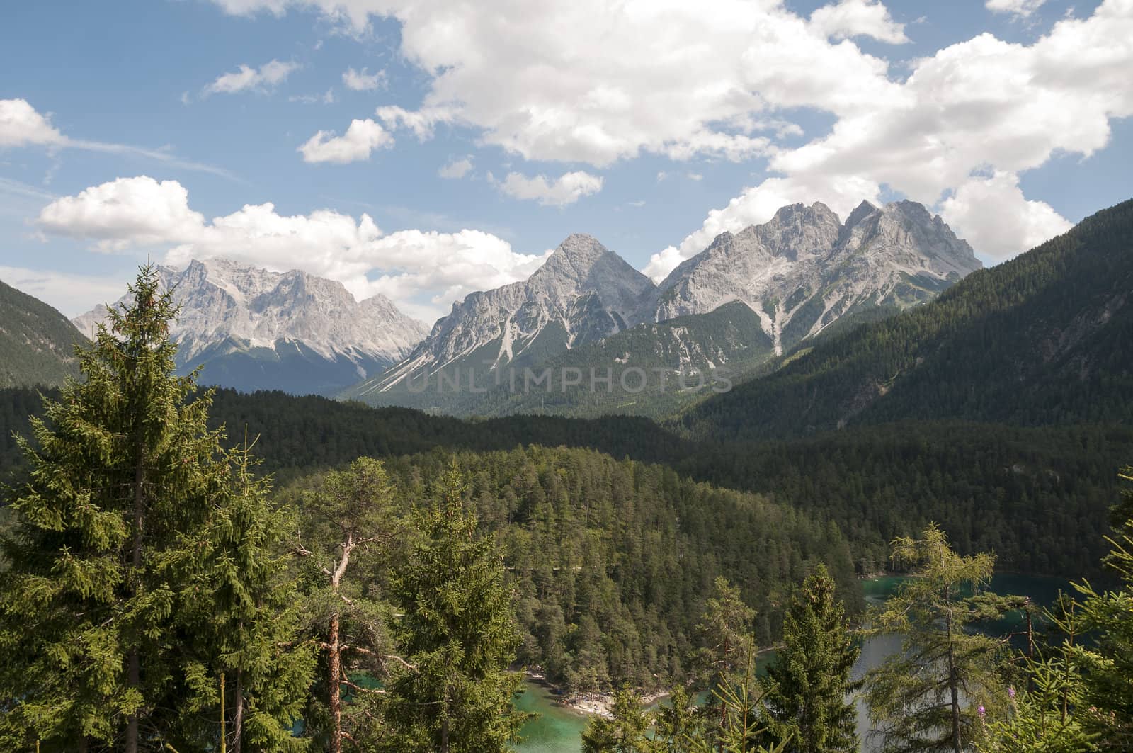 nature on the fernpass from austria to italy
