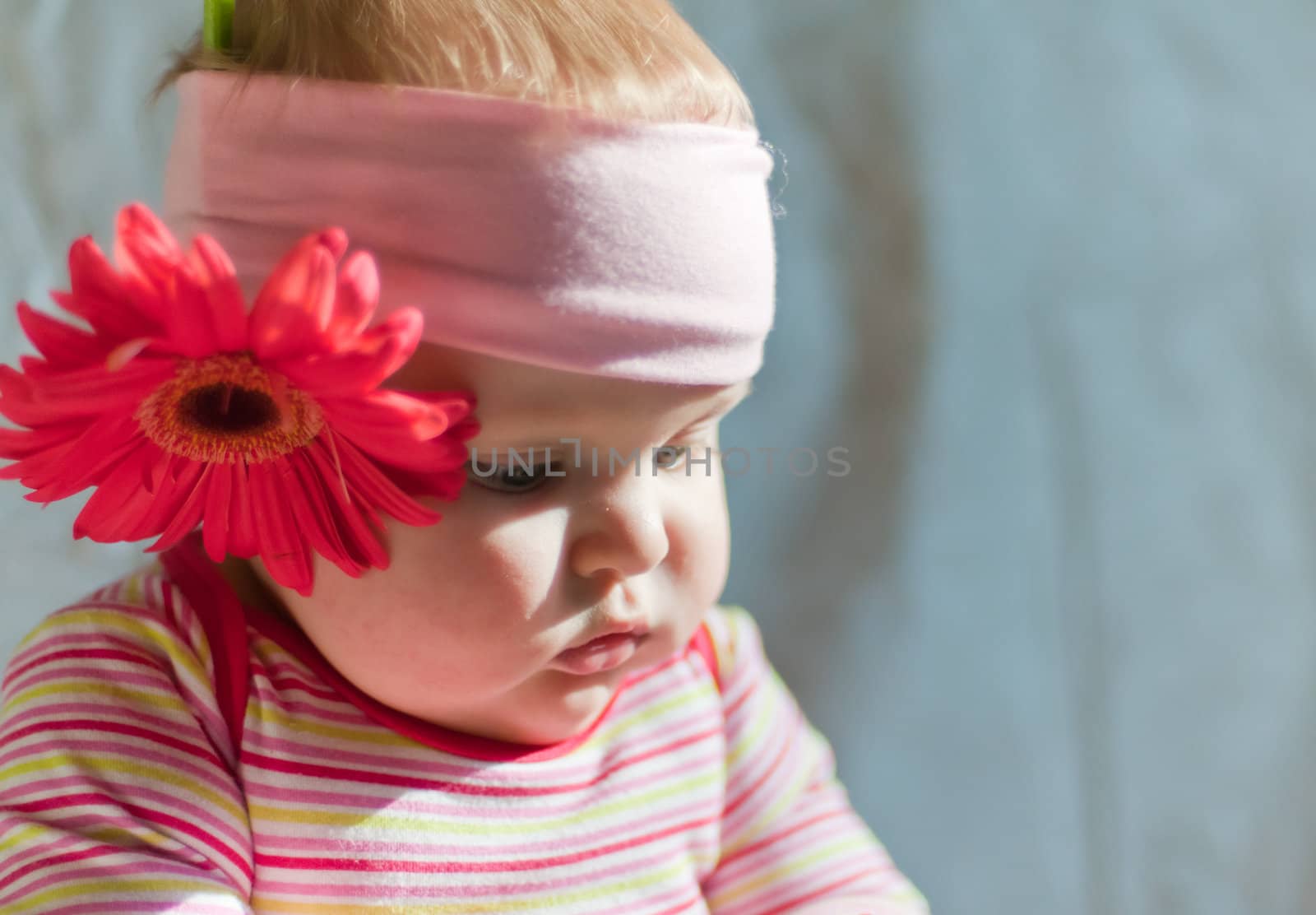 Baby in the headband with gerbera flower