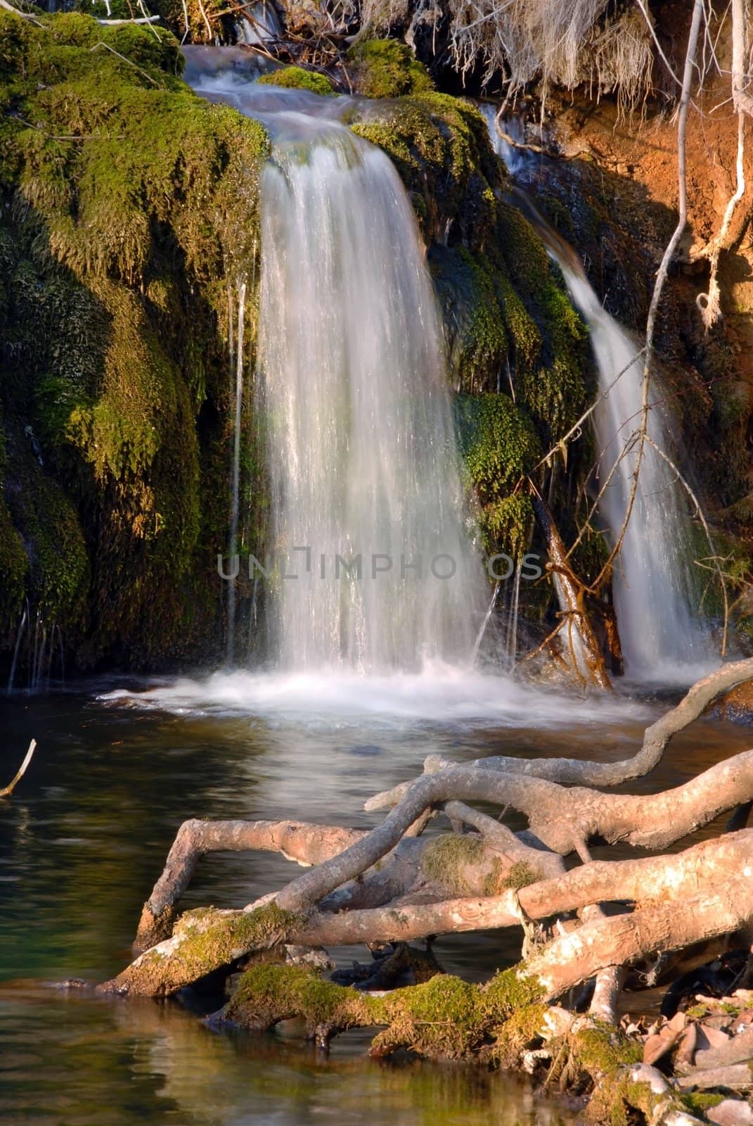 falling water stream over green moss at sunny day