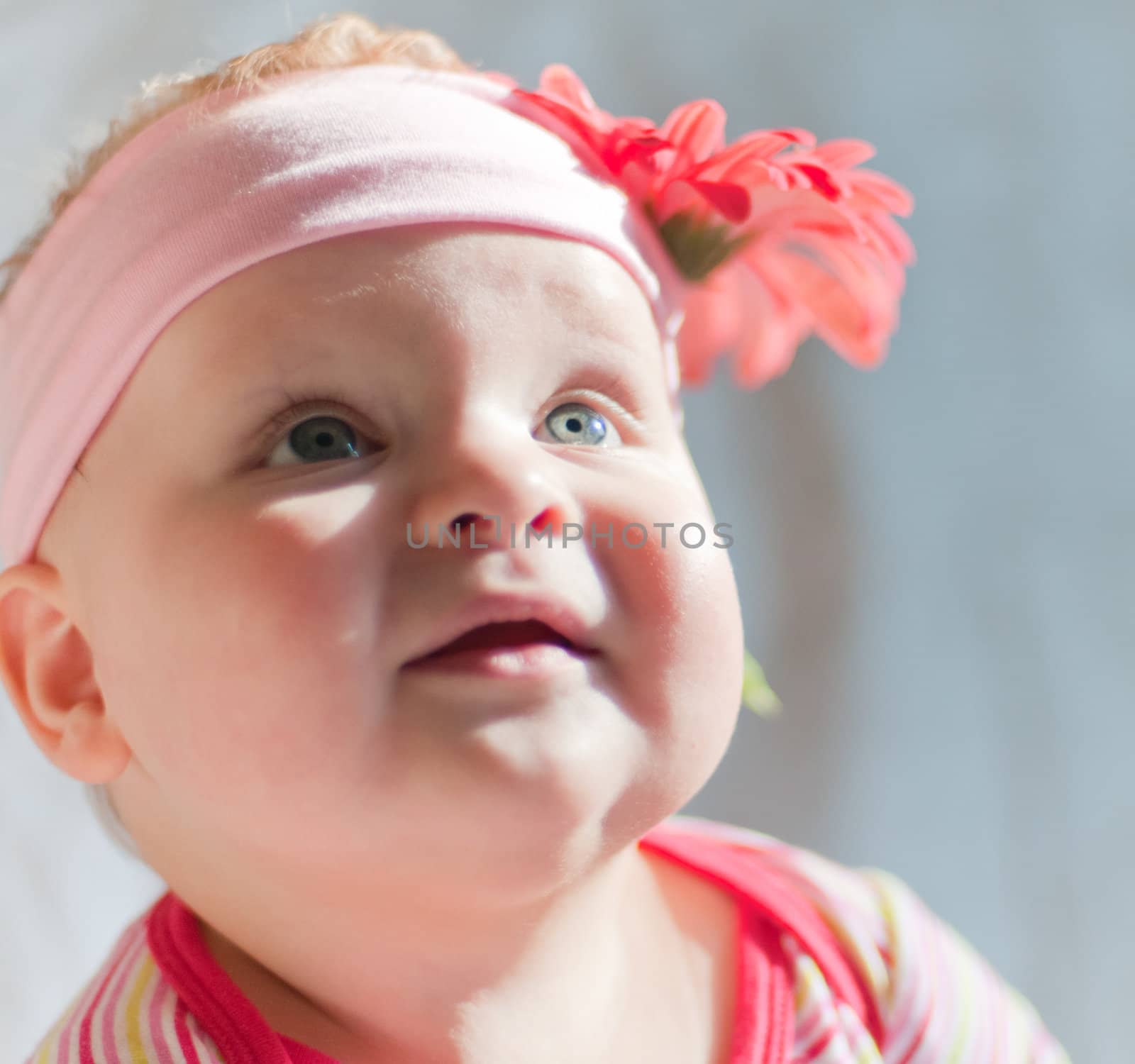 Baby in the headband with gerbera flower