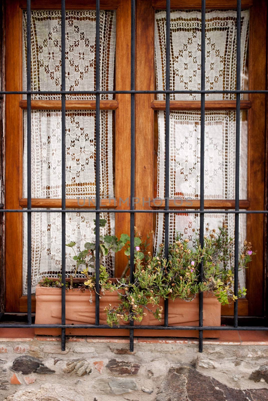 window with grates