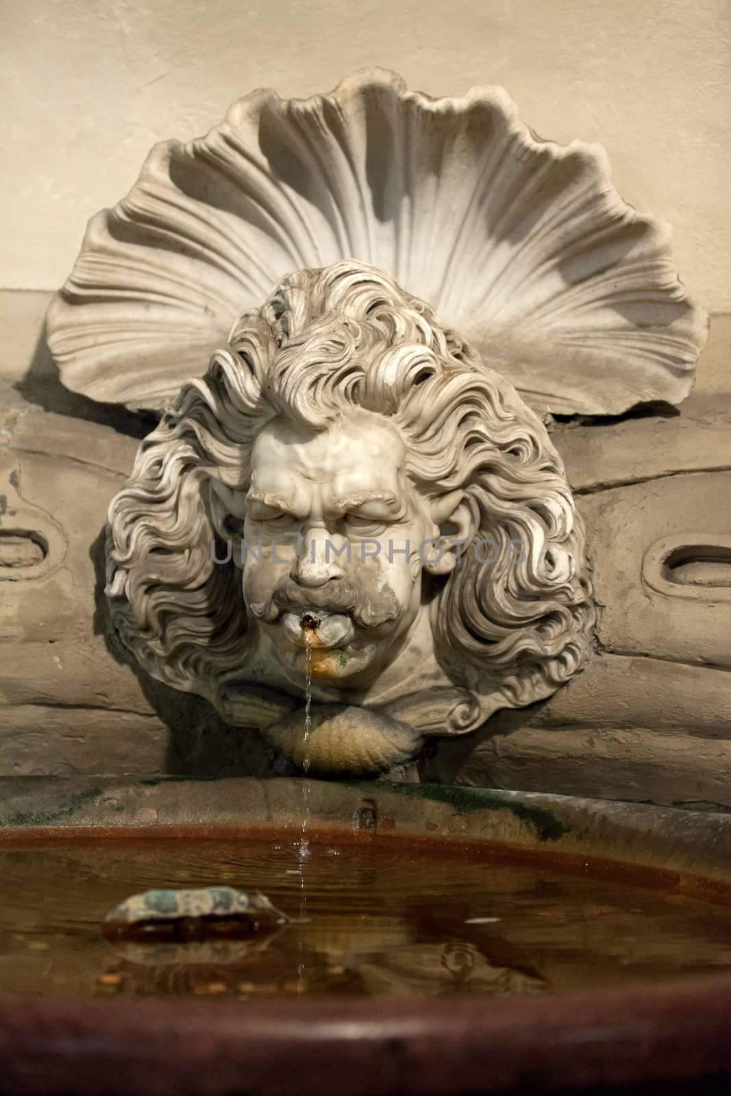 Florence - Palazzo Vecchio, First courtyard.