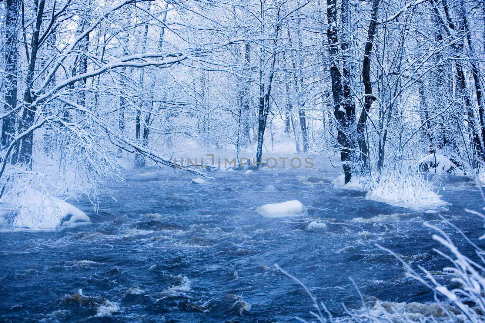 Blue Winter landscape with water