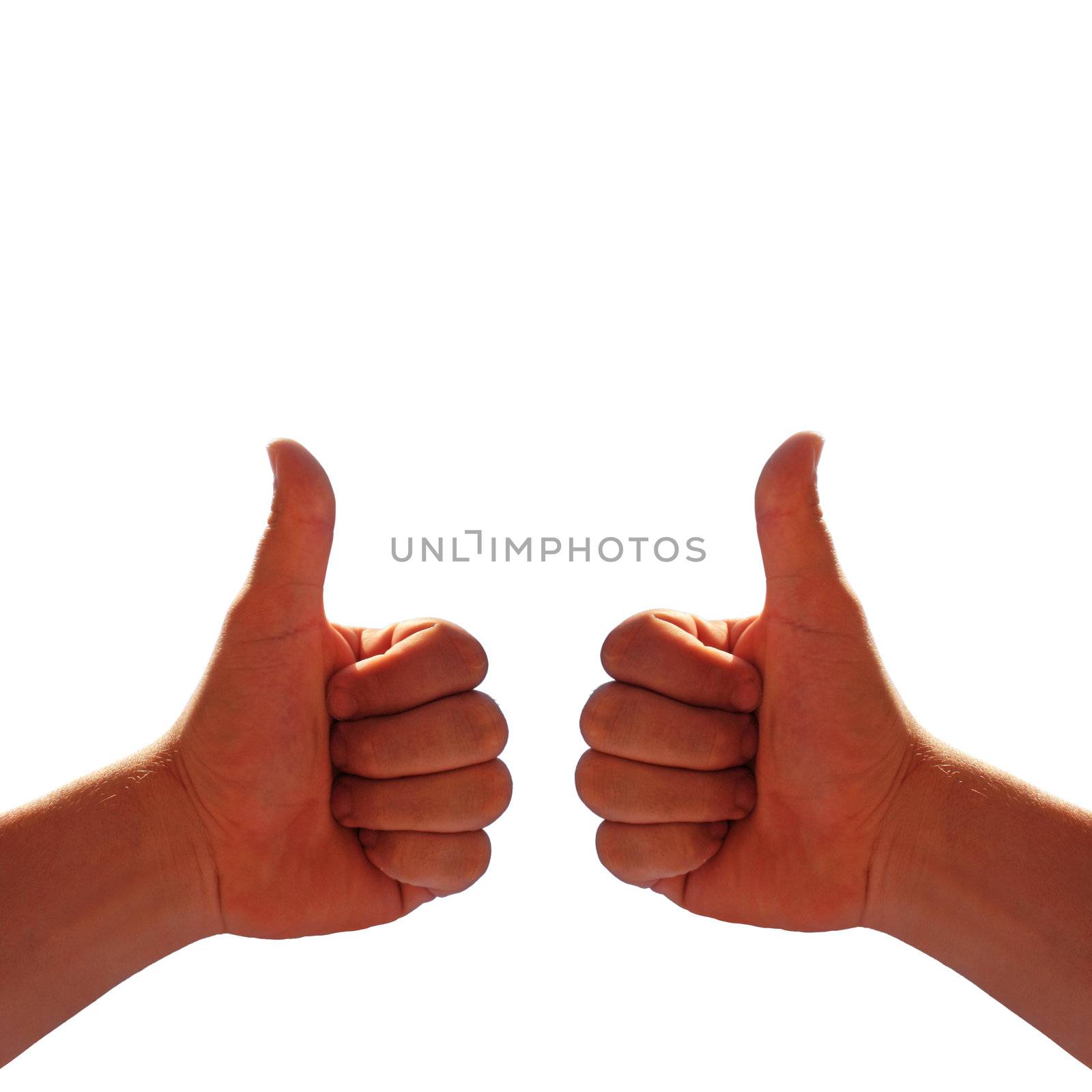 two hands on white background by photochecker