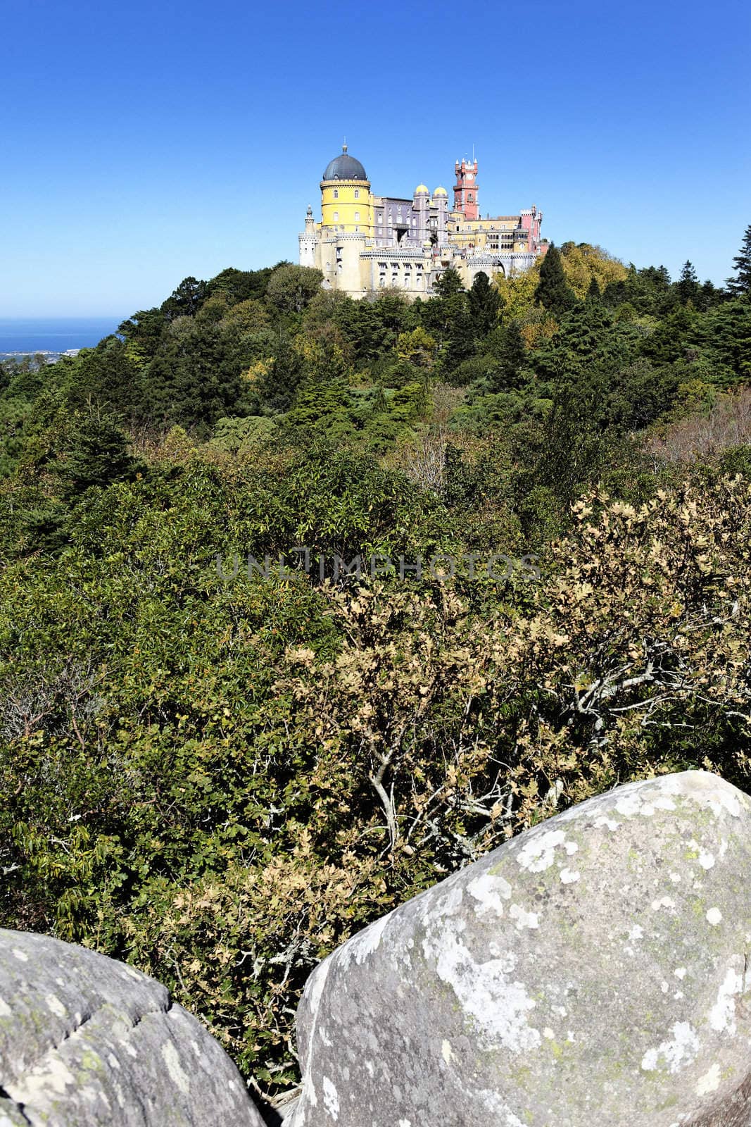 vertical view of Pena castle in sintra, Portugal