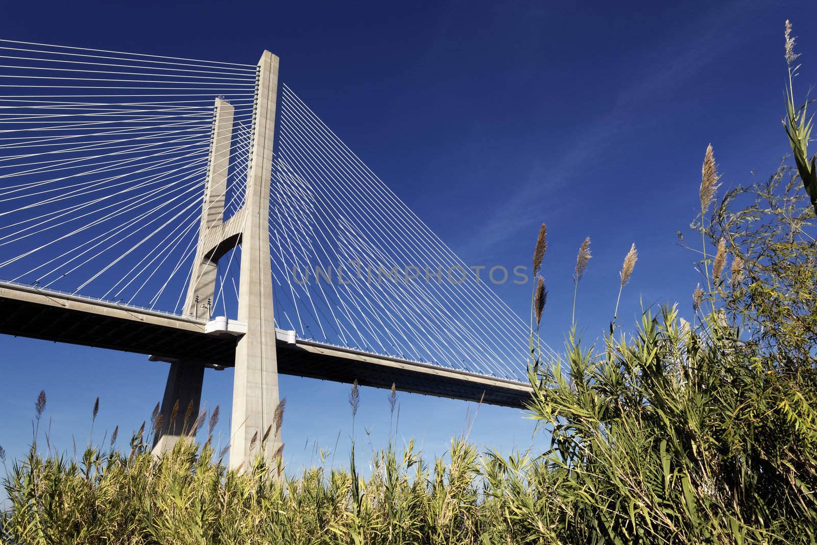 The famous Vasco da Gama bridge in Lisbon, Portugal 