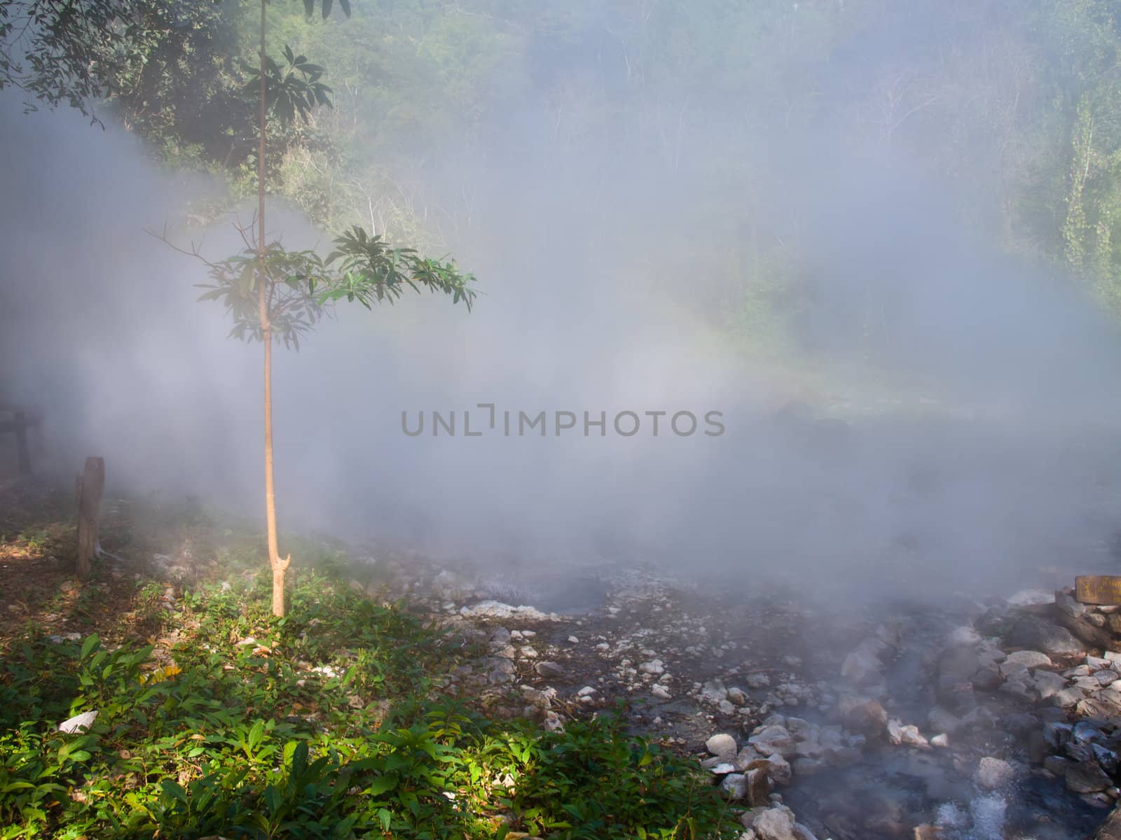 Mist from the geyser hot spring in Huai Nam Dang National Park i by gururugu