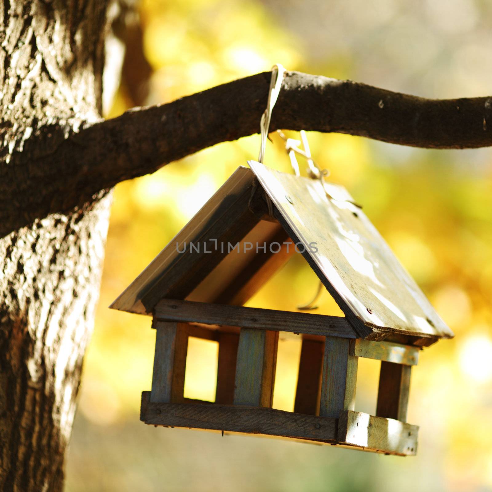  birdhouse in the autumn forest close up