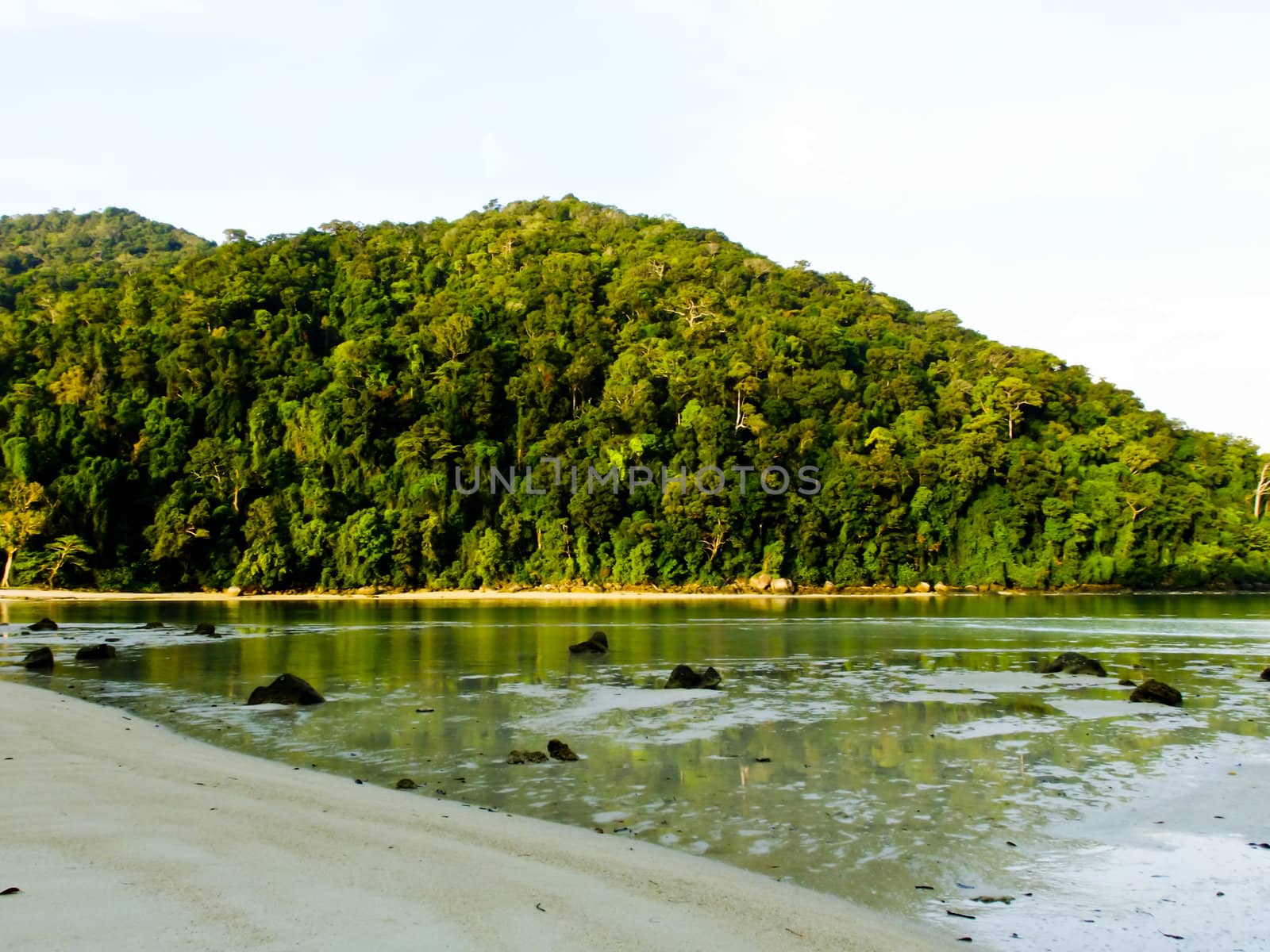 beautiful tropical beach when ebb tide and rainforest in Andaman by gururugu