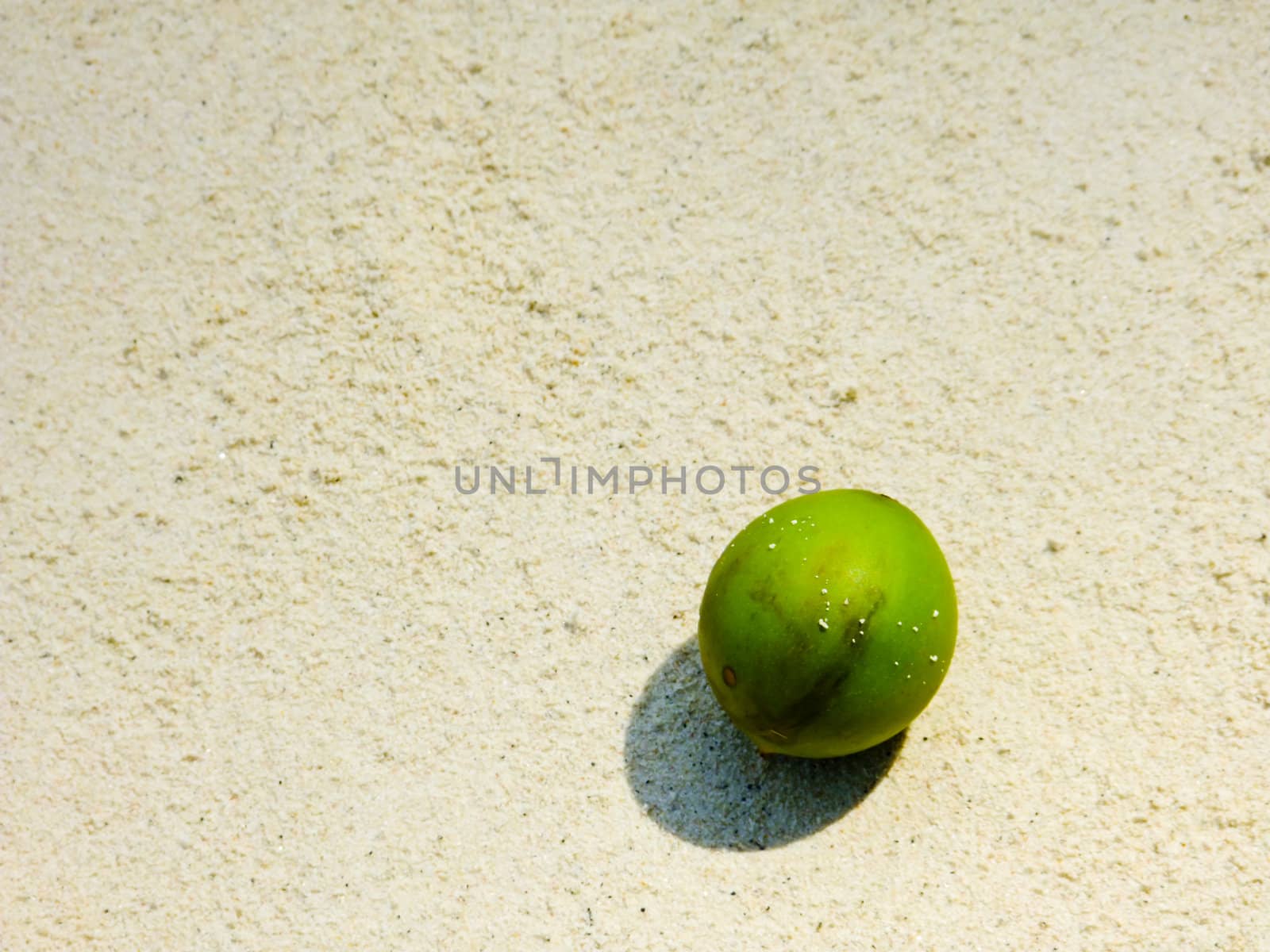Green coconut on white sand beach