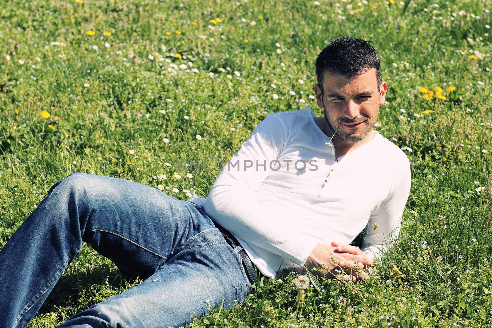 handsome man on the grass in a park