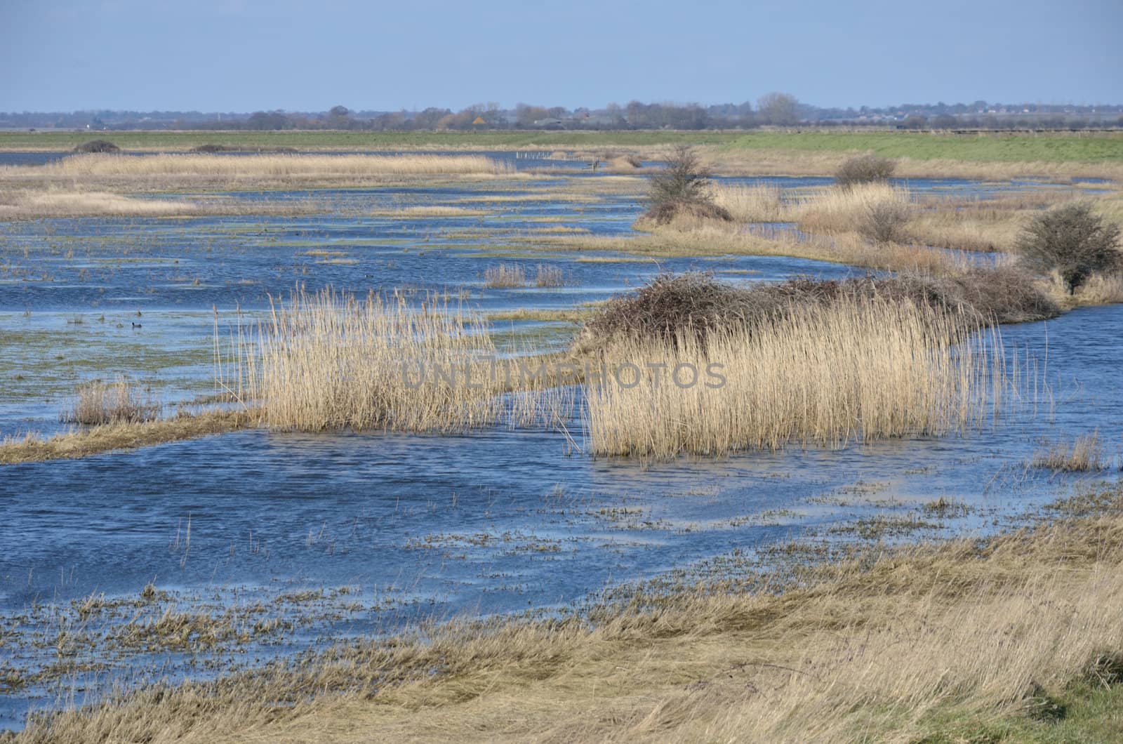 Hamford Water Essex