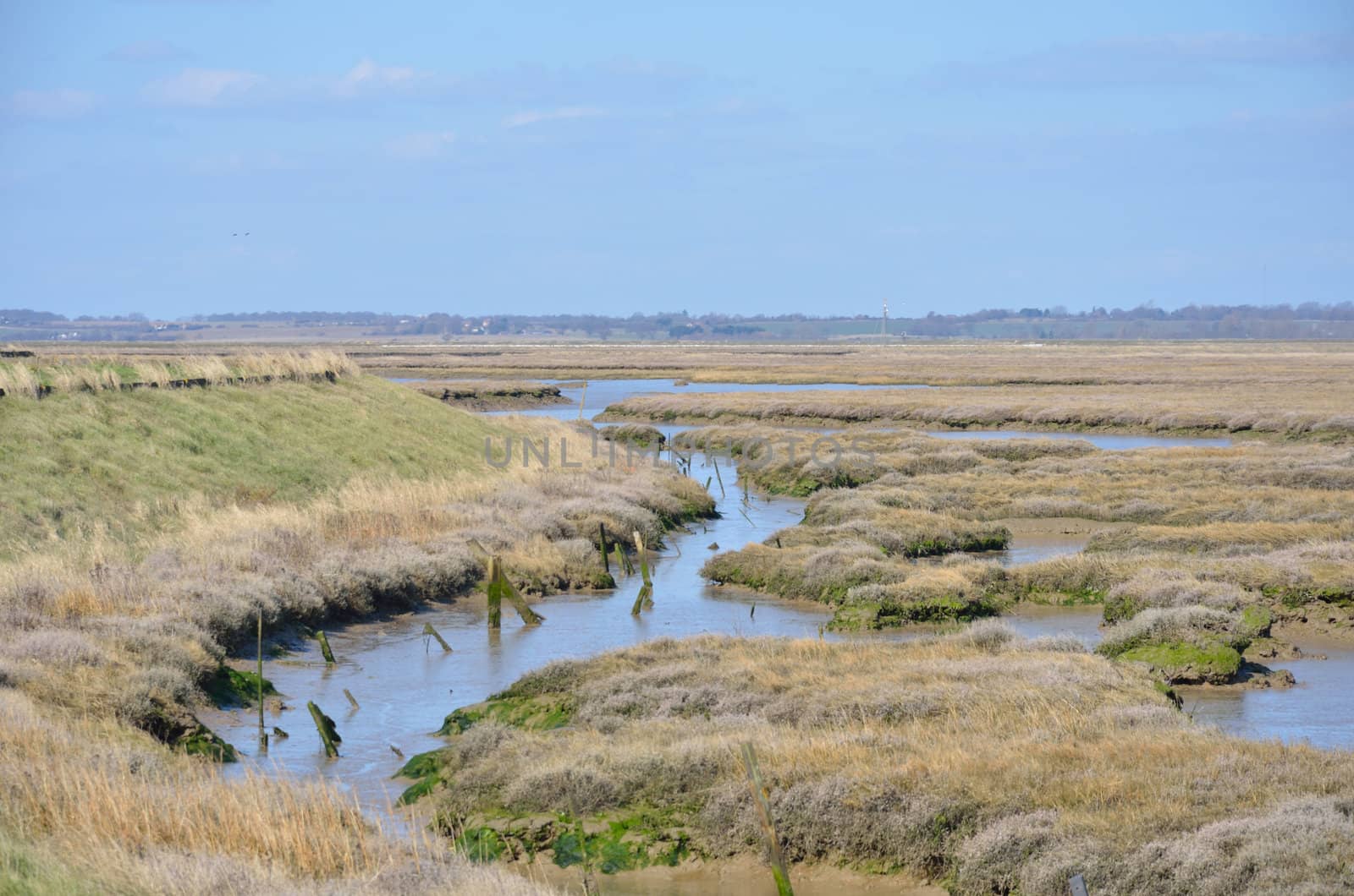 Essex coastal waters