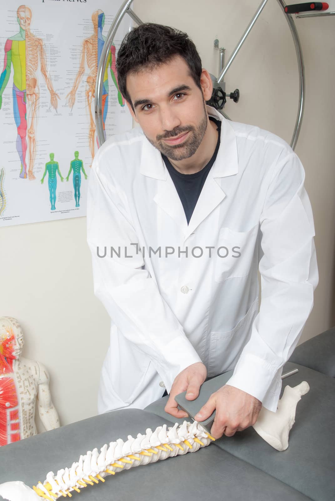 Manual, physio and kinesio therapy techniques performed by a male physiotherapist on a training plastic spine and a female patient