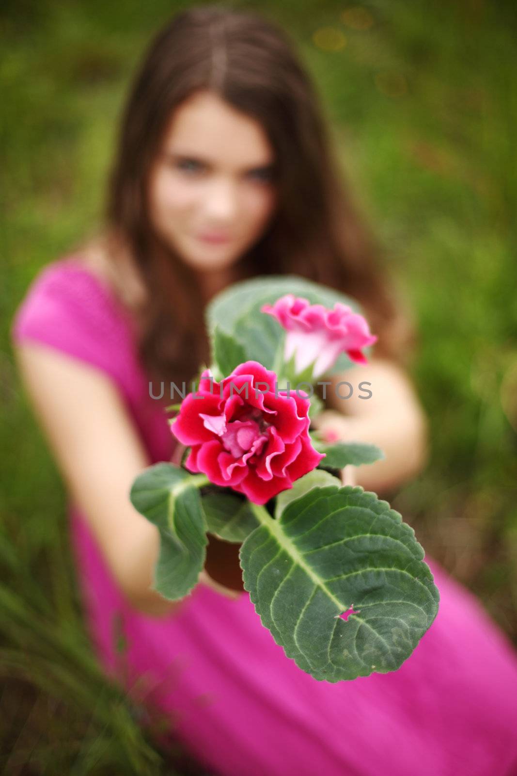 flower in woman hands close up