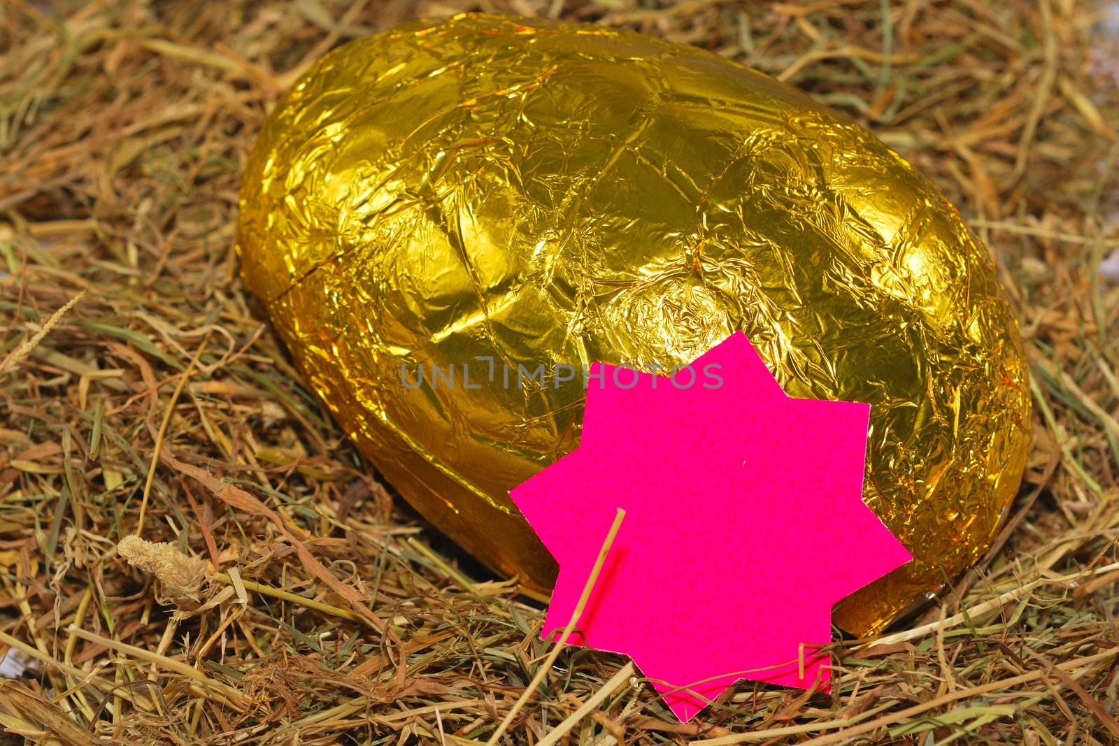 easter egg with star